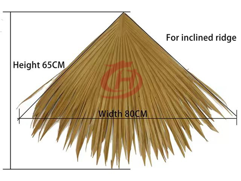 棕榈叶茅草
